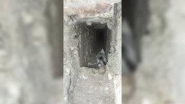 Липецкие спасатели вытащили котёнка из вентиляционной шахты общежития