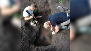 Останки ещё семи жертв Шатиловского концлагеря нашли в Липецкой области