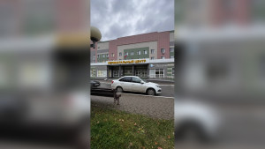 Липецкие врачи приняли роды в легковом автомобиле