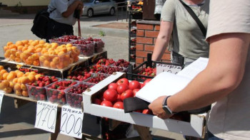 На проспекте Мира и в районе ЛТЗ в Липецке провели рейд по обнаружению несанкционированных точек торговли