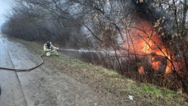 Добровольцы и пожарные тушили загоревшуюся на трассе в Липецкой области иномарку