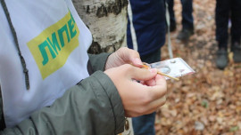 В парке Победы состоится первенство по спортивному ориентированию