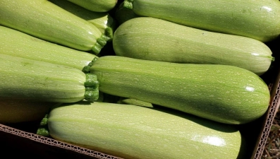 Липецкие фермеры поставляют свою продукцию на прилавки магазинов