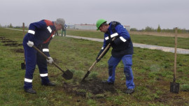 В ОЭЗ «Липецк» провели большой субботник