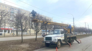 В Липецке сотрудники «Зеленхоза» приступили к опиливанию аварийных деревьев