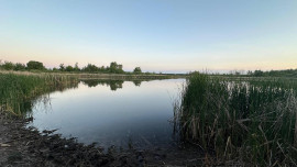 16-летний подросток утонул в пруду в Липецкой области