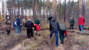 Волонтеры присоединяются к всероссийской акции «Сохраним лес»