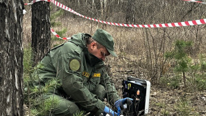 Скелет человека нашли в деревне Измайловке Липецкой области