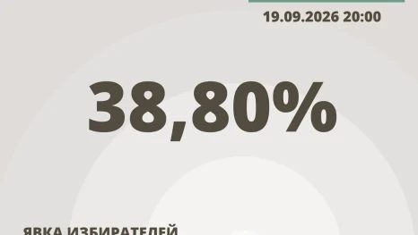 Явка на выборы на 20:00 составила 38,8%