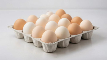 В Липецкой области растет производство яиц