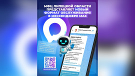 В Липецкой области запустили чат-бот для записи в МФЦ через мессенджер МАХ