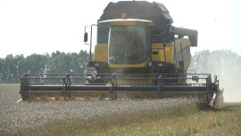 Липецкая область вошла в топ-3 в ЦФО по урожайности зерна