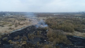 Пожарные совершили более 2000 выездов на тушение палов (видео)