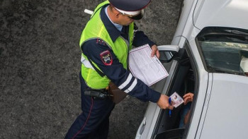 В передаче «Всё по правилам» рассказали, как стать сотрудником ГИБДД