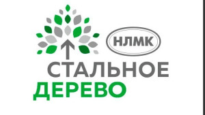 Программа «Стальное дерево-2022» реализует 31 проект в Липецкой области 