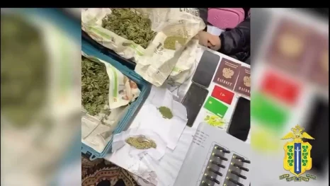 На хранении оборудования для мошенников и марихуаны пойманы жители Липецкой области