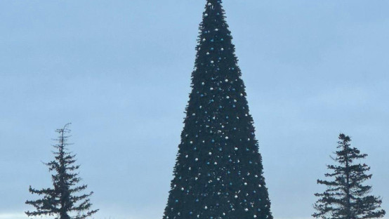 Новогодняя елка на Соборной площади в Липецке «поклонилась» ветру