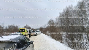 Двое детей пострадали в ДТП в Липецкой области 