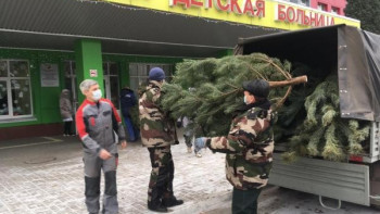 В детской больнице поставят новогодние елки 