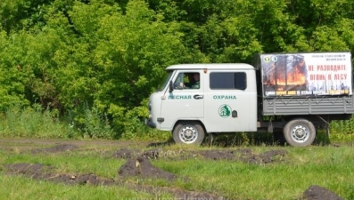 Высокий класс пожароопасности установился в лесах Липецкой области