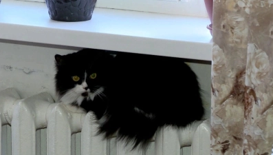 В Липецке начался отопительный сезон