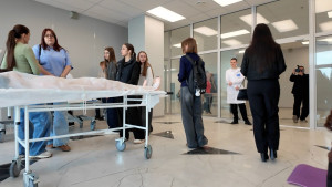 Будущих педиатров будут готовить в Липецкой области