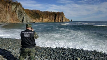 Морские млекопитающие не пострадали от токсичных водорослей на Камчатке