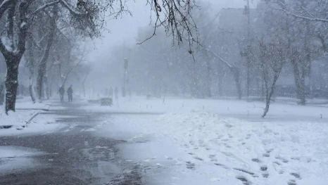 В Липецке ожидается снег с дождем и сильный ветер