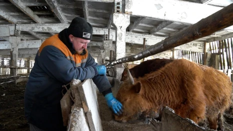 Выпускник школы фермеров открыл свой животноводческий комплекс в Липецкой области