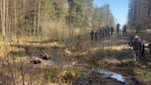 Липецкий клуб «Допризывник» провел масштабные военно-полевые сборы
