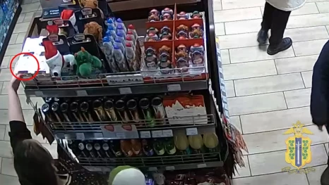 Жительница Ростовской области украла сладости и игрушки с задонской АЗС