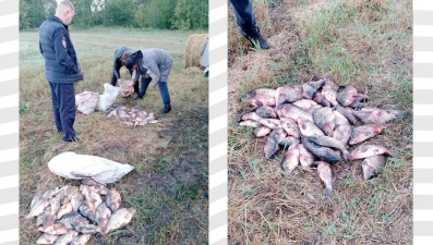 Браконьеры наловили 209 кг рыбы в заказнике Липецкой области