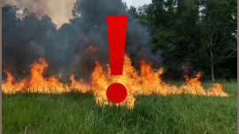 С 1 апреля в лесах Липецкой области начался пожароопасный сезон