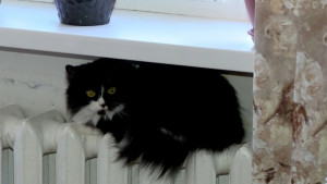 В Липецке начался отопительный сезон