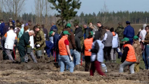 Липчане поучаствовали в Международной акции «Сад памяти»