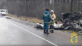 В Липецкой области возбудили уголовное дело по факту аварии у села Казино, в которой погибли 2 человека 