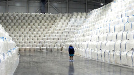 Липецкие заводы переработали почти 900 тысяч тонн свёклы нового урожая