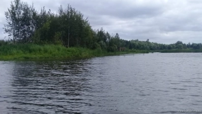  Русло реки Воронеж в Добровском районе очистили благодаря нацпроекту