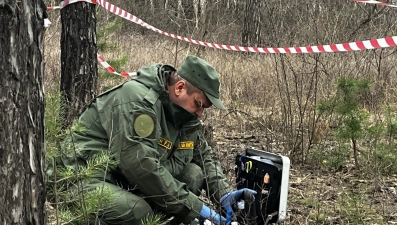 Скелет человека нашли в деревне Измайловке Липецкой области