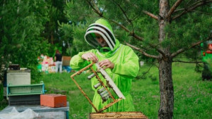 Фермерский мёд липчане могут приобрести на муниципальных ярмарках