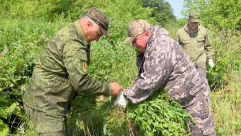 Охотнадзор приступил к заготовкам еды для диких животных Липецкой области