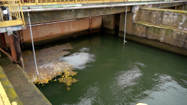 В Липецке ремонтируют дамбу Матырского водохранилища