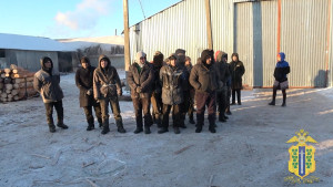 Нелегальный труд на лесопилках пресекли липецкие правоохранители