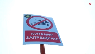 Купание на Центральном пляже Липецка временно запрещено 