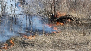 Со второй половины лета мусор и сухая трава в Липецке горят чаще