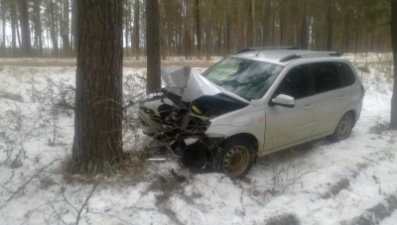 В Грязинском районе легковушка врезалась в дерево