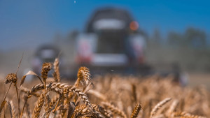 Липецкая область отправила за границу более 1,5 млн тонн сельхозпродукции