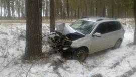 В Грязинском районе легковушка врезалась в дерево