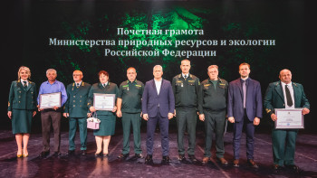 Лесники Липецкой области удостоились наград