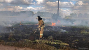 В Лебедянском районе огонь охватил 300 кв. метров поля стерни